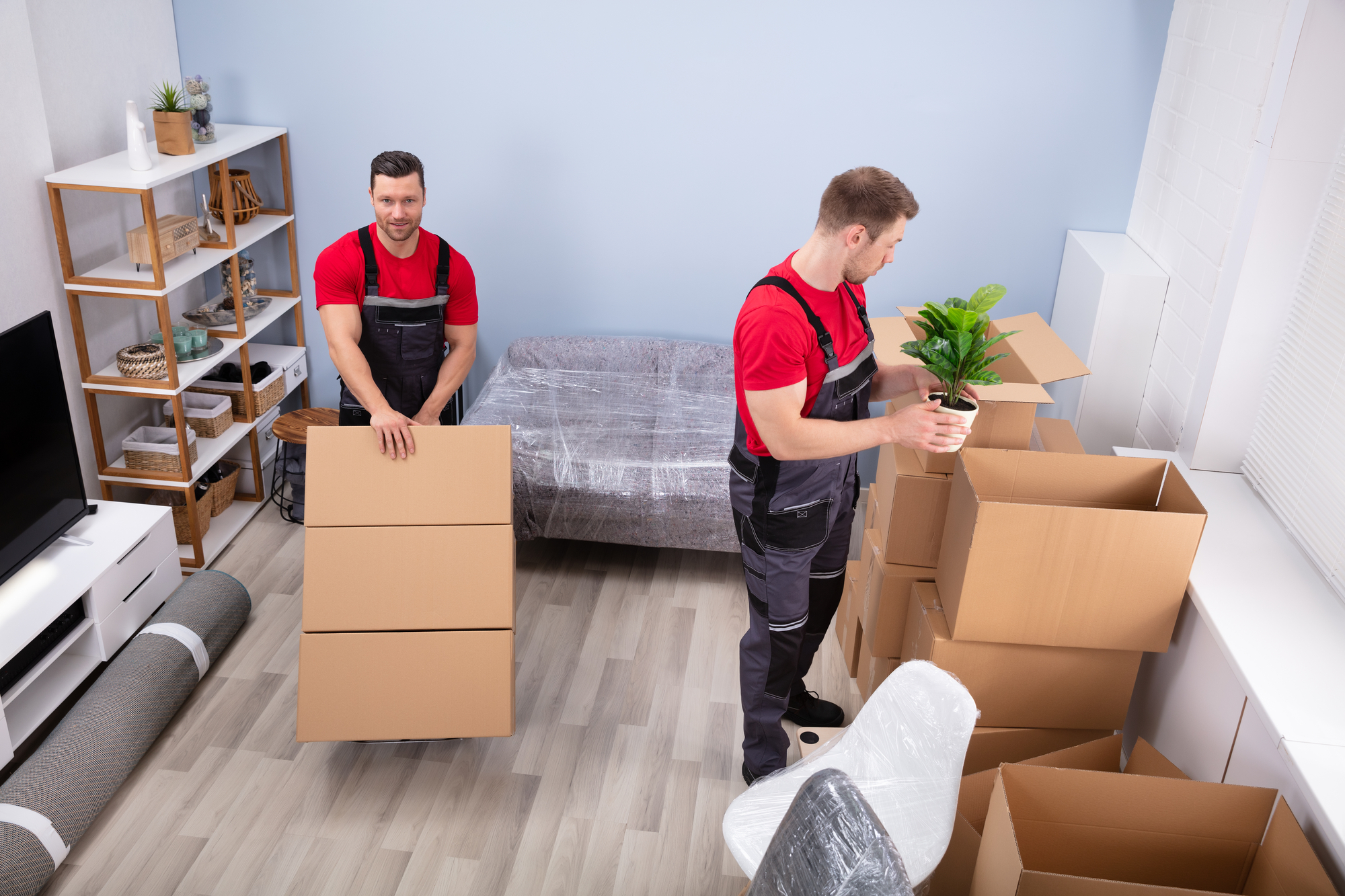 Movers Packing The Products In The Living Room